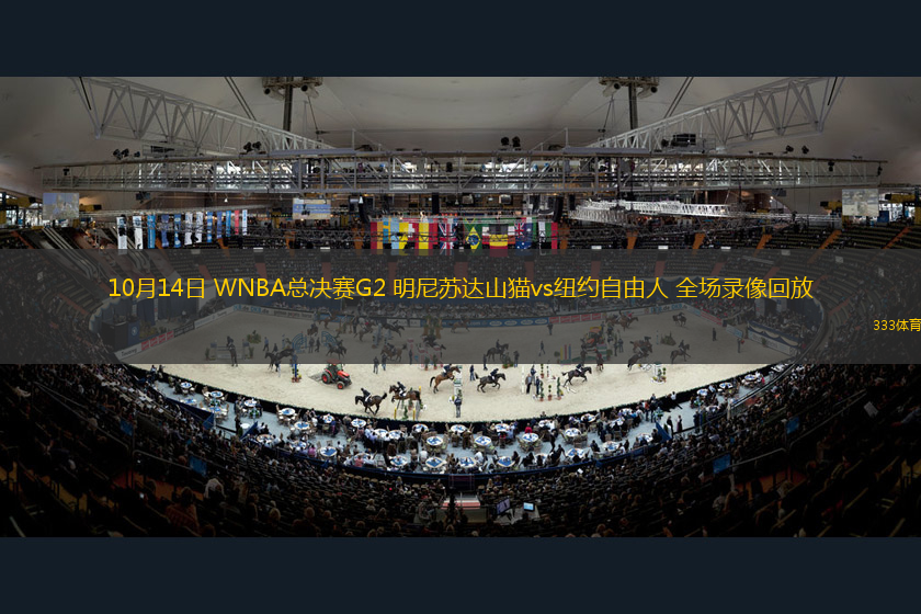 10月14日 WNBA總決賽G2 明尼蘇達(dá)山貓vs紐約自由人 全場錄像回放