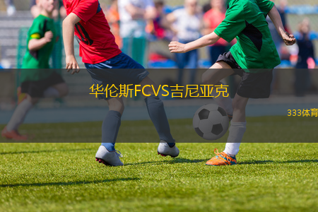 華倫斯FCVS吉尼亞克