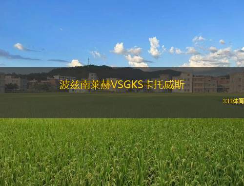 波茲南萊赫VSGKS卡托威斯