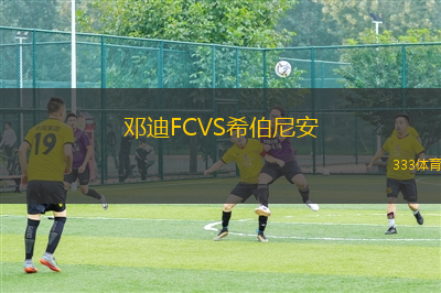 鄧迪FCVS希伯尼安